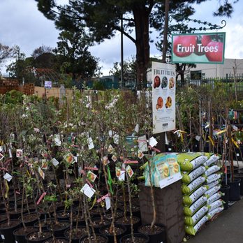 Armstrong Garden Centers - Nurseries & Gardening Near Me - Claremont, California Armstrong Garden Centers - Nurseries & Gardening Near Me - Claremont, California