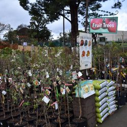 Armstrong Garden Centers