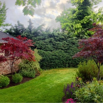 Canepa Landscaping - Front yard - Landscaping Near Me - Windsor, California Canepa Landscaping - Front yard - Landscaping Near Me - Windsor, California