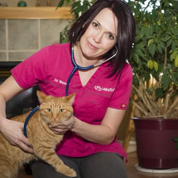 Vets To Go - Veterinarians Near Me