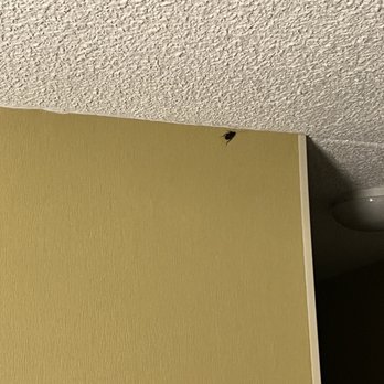 DoubleTree by Hilton Hotel Richmond - Midlothian - Roach in my room - Hotels Near Me - Richmond, Virginia DoubleTree by Hilton Hotel Richmond - Midlothian - Roach in my room - Hotels Near Me - Richmond, Virginia
