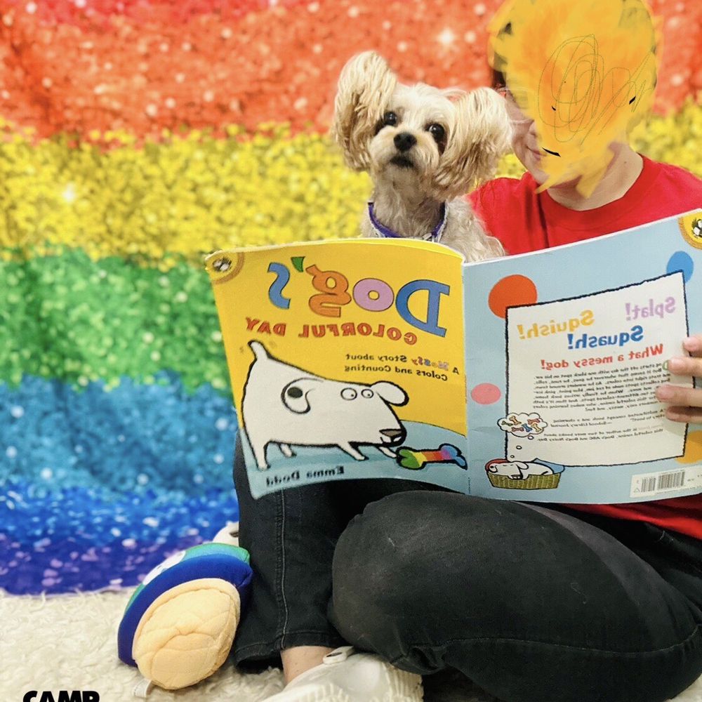 Camp Bow Wow - Humble - Camp Bow Wow HUMBLE - Rainbow Story Time - Pet Boarding Near Me - Humble, Texas