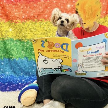 Camp Bow Wow - Humble - Camp Bow Wow HUMBLE - Rainbow Story Time - Pet Boarding Near Me - Humble, Texas Camp Bow Wow - Humble - Camp Bow Wow HUMBLE - Rainbow Story Time - Pet Boarding Near Me - Humble, Texas