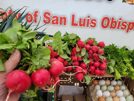 The Riverside Downtown Farmers Market by null
