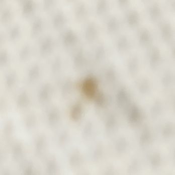 Comfort Inn Cranberry Twp - Filthy bed - Hotels Near Me - Mars, Pennsylvania Comfort Inn Cranberry Twp - Filthy bed - Hotels Near Me - Mars, Pennsylvania
