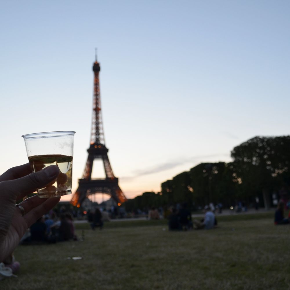 Champ de Mars - Cheers! - Parks Near Me - Paris, 75