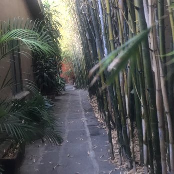 Bikram Yoga - Yoga Near Me - Guadalajara, JAL