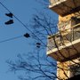 Photo of Trappen i Dovregata