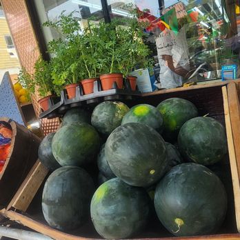 Red Sea - Fruits - Seafood Markets Near Me - New York, New York
