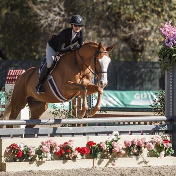 Triple E by Emma - Horse riding lessons and horse show services offered - Horseback Riding Near Me Triple E by Emma - Horse riding lessons and horse show services offered - Horseback Riding Near Me