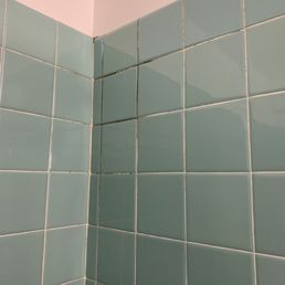 Mold in the grout of the shower. Gross.