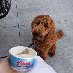 Kline's Dairy Bar - Puppy and his pup cup