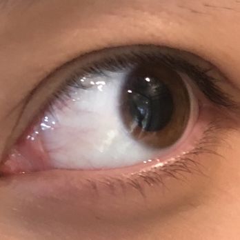 Lucy's Lashes - Eyelash Service Near Me - Yorba Linda, California