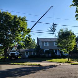 Darrin's Tree Service