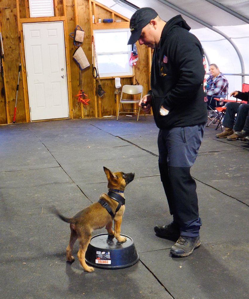 CUSTOMIZED K9 PROFESSIONAL DOG TRAINING Updated September 2024