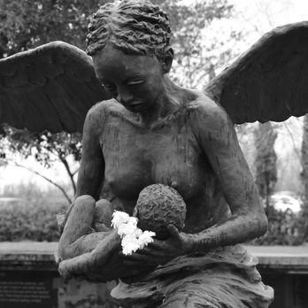 Whitney Plantation - Museums Near Me - Wallace, Louisiana Whitney Plantation - Museums Near Me - Wallace, Louisiana