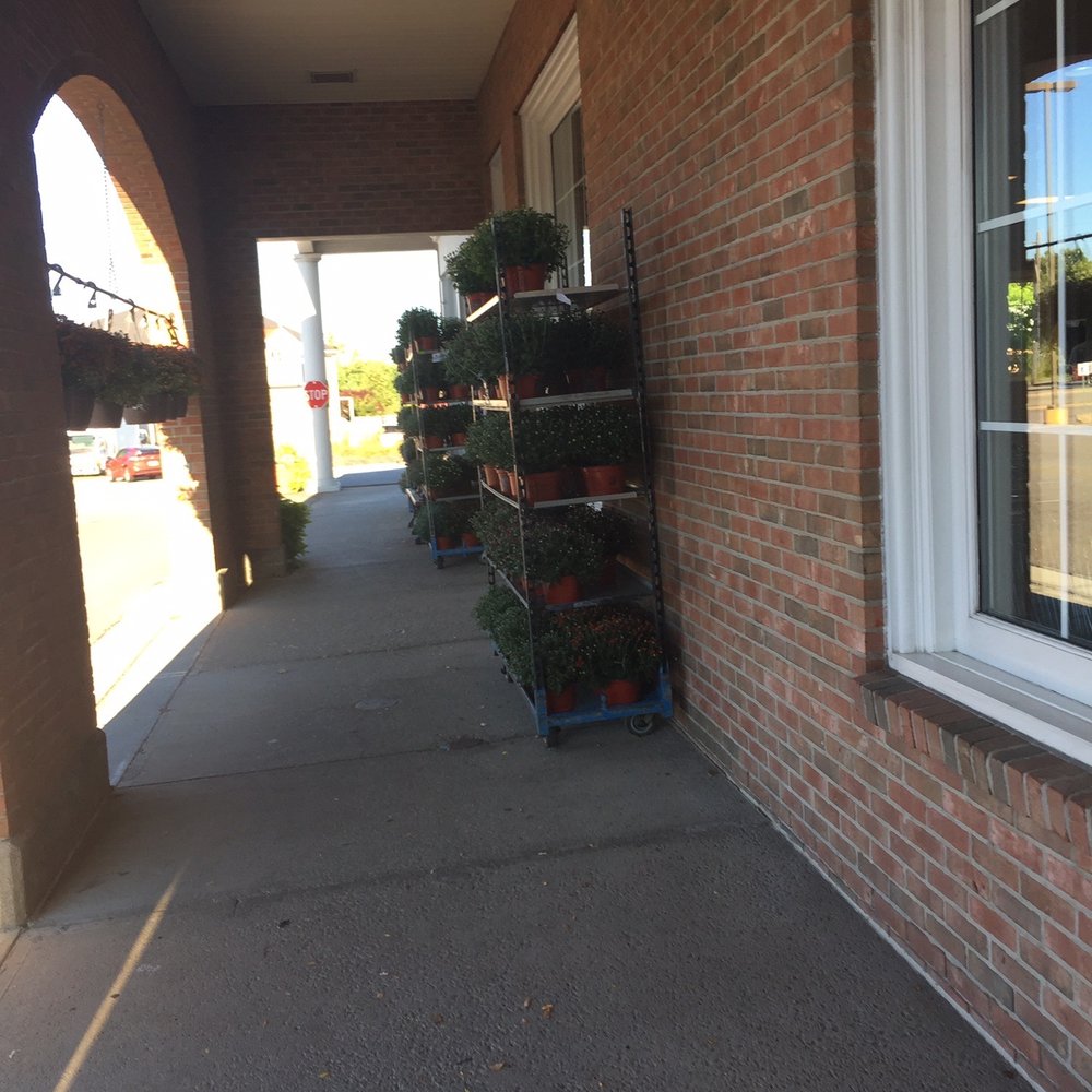 Heinen's Grocery Store - Gorgeous plants always for sale - Grocery Near Me - Bainbridge, Ohio