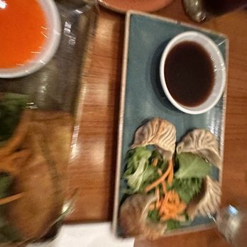 The BŌL - Pan fried dumplings - Vietnamese Near Me - Coconut Creek, Florida The BŌL - Pan fried dumplings - Vietnamese Near Me - Coconut Creek, Florida