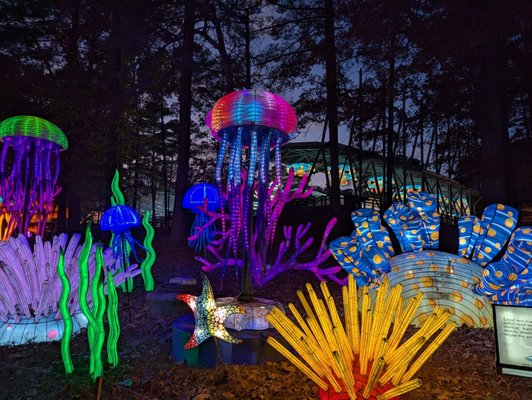 Koka Booth Amphitheatre by null