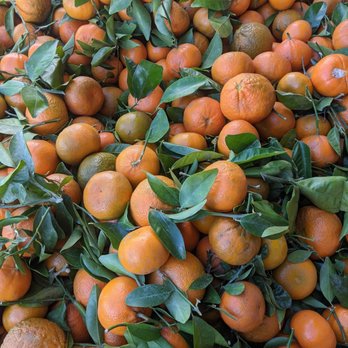 Real Produce - Grocery Near Me - San Jose, California Real Produce - Grocery Near Me - San Jose, California