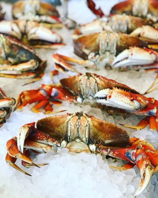 Wild Salmon Seafood Market by null