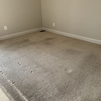 Stanley Steemer - Carpet Cleaning Near Me - Livonia, Michigan