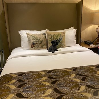 O:live Boutique Hotel - Hotels Near Me - San Juan, Puerto Rico O:live Boutique Hotel - Hotels Near Me - San Juan, Puerto Rico