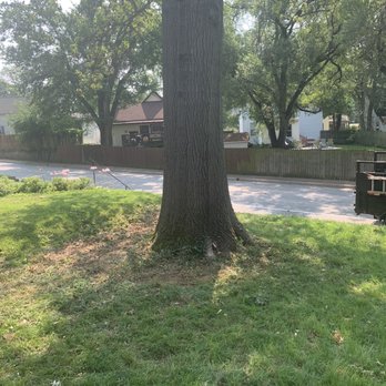 Accurate Tree and Landscaping - All dead branches removed from oak tree and all cleaned up. - Tree Services Near Me - Ferguson, Missouri
