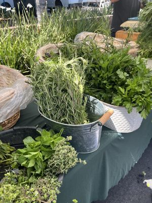 Montrose Farmers Market by null