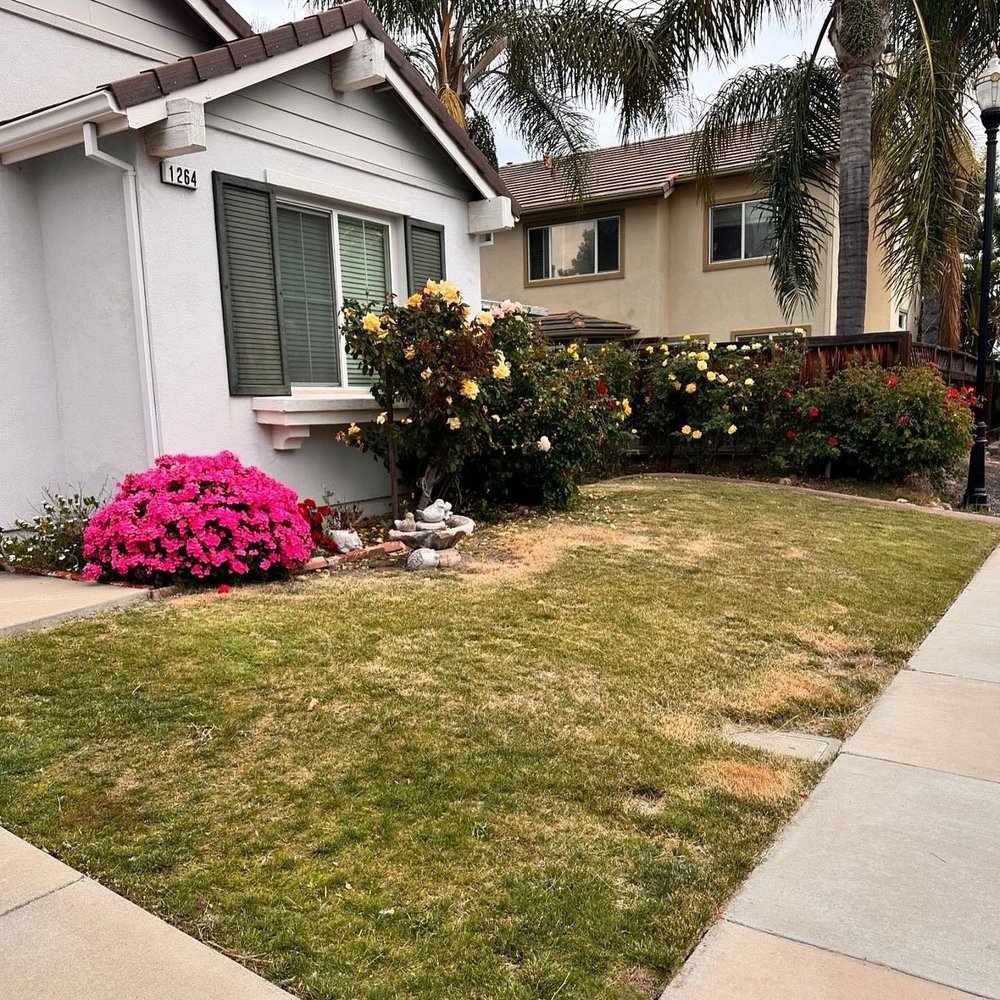 Complete Landscape - Before - Landscaping Near Me - Oakley, California Complete Landscape - Before - Landscaping Near Me - Oakley, California