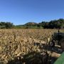 Boccali Ranch Pumpkin Patch