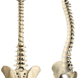 Provo Sports and Family Chiropractic