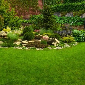 Sofie Cleaning & Lawn Care - Carpet Cleaning Near Me Sofie Cleaning & Lawn Care - Carpet Cleaning Near Me