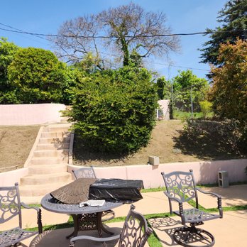 Pearloga Tree service - Before - Tree Services Near Me Pearloga Tree service - Before - Tree Services Near Me