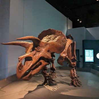 Royal British Columbia Museum - Museums Near Me - Victoria, British Columbia Royal British Columbia Museum - Museums Near Me - Victoria, British Columbia