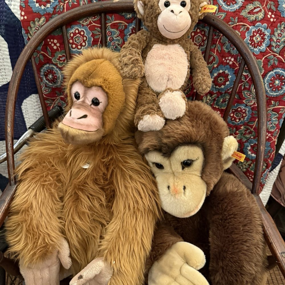 John Derian's Dry Goods - Home Decor Near Me - New York, New York John Derian's Dry Goods - Home Decor Near Me - New York, New York