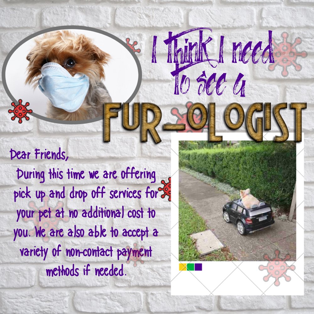 FUR KREWE 14 Photos 3406 Drusilla Ln, Baton Rouge, Louisiana Yelp