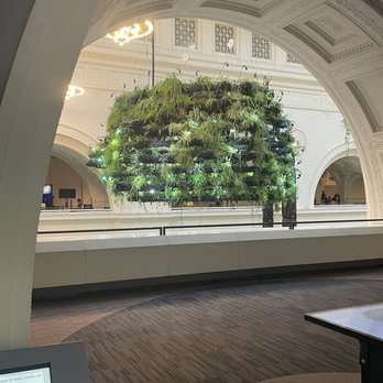 Field Museum - So cool! - Museums Near Me - Chicago, Illinois
