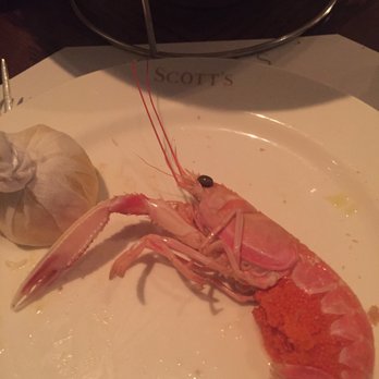 Scott's - Langoustines - Seafood Near Me - London, XGL