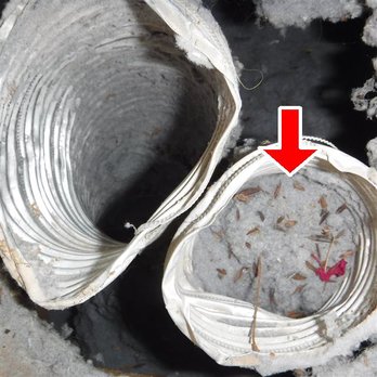Whole Home Inspections - Clogged dryer vent - Home Inspectors Near Me - Phoenix, Arizona Whole Home Inspections - Clogged dryer vent - Home Inspectors Near Me - Phoenix, Arizona