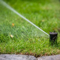 Pungitore Irrigation & Fertilizer - Irrigation and lawn services