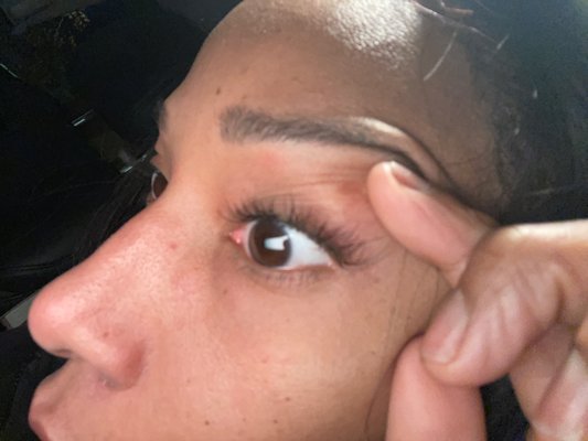 MissCat Eyelash by null