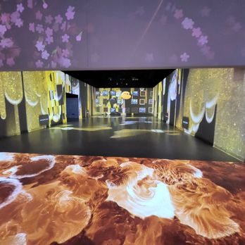 Electric Playhouse - Arcades Near Me - Las Vegas, Nevada Electric Playhouse - Arcades Near Me - Las Vegas, Nevada
