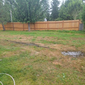 North West Septic - Puddles of raw sewage - Septic Services Near Me North West Septic - Puddles of raw sewage - Septic Services Near Me
