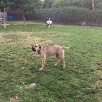 Pat Merritt Dog Park - Someone else saw the same dog and it attacked their dog too. Once again the owner is sitting with her dog is aggressive. - Dog Parks Near Me - Riverside, California Pat Merritt Dog Park - Someone else saw the same dog and it attacked their dog too. Once again the owner is sitting with her dog is aggressive. - Dog Parks Near Me - Riverside, California