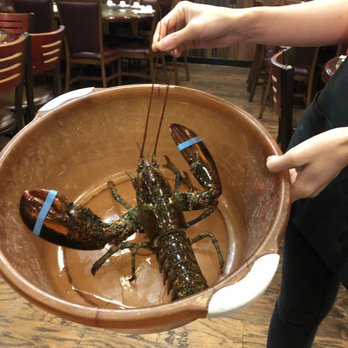 V Garden - She showed me the smallest lobster they had beautiful presentation they show you and this was mine to enjoy - Seafood Near Me - Kent, Washington V Garden - She showed me the smallest lobster they had beautiful presentation they show you and this was mine to enjoy - Seafood Near Me - Kent, Washington