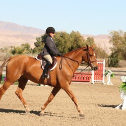 Bellaventage Farms