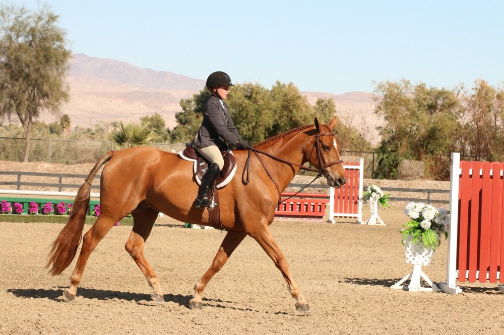 Bellaventage Farms Logo