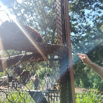 Brandywine Zoo - Zoos Near Me - Wilmington, Delaware