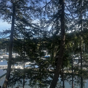 Pleasant Harbor Dock&Dine - View from table - Coffee & Tea Near Me - Brinnon, Washington Pleasant Harbor Dock&Dine - View from table - Coffee & Tea Near Me - Brinnon, Washington